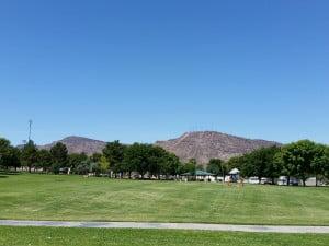 Day 7 - Black Mountain from the park